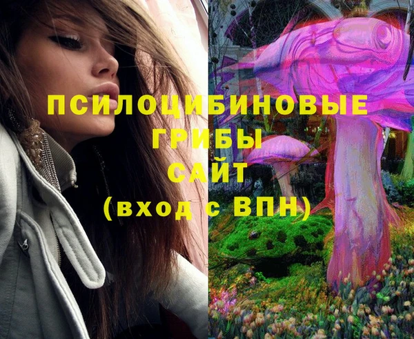 прущая мука Алзамай