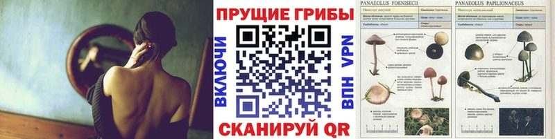 маркетплейс как зайти  Сим  Псилоцибиновые грибы Magic Shrooms 